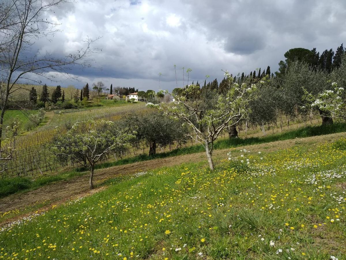Agriturismo Ca'De'Gatti Faenza Eksteriør bilde
