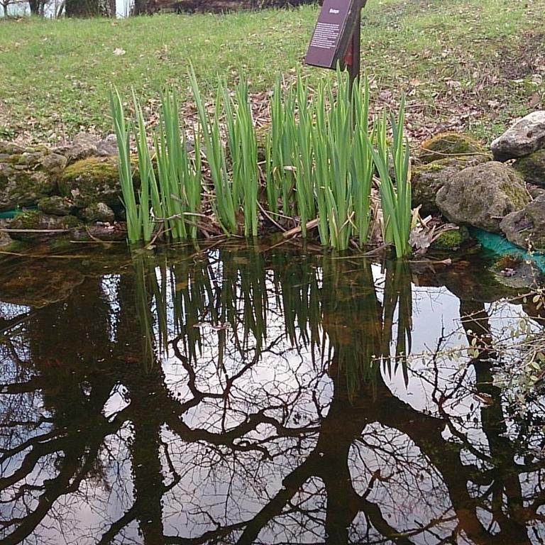 Agriturismo Ca'De'Gatti Faenza Eksteriør bilde