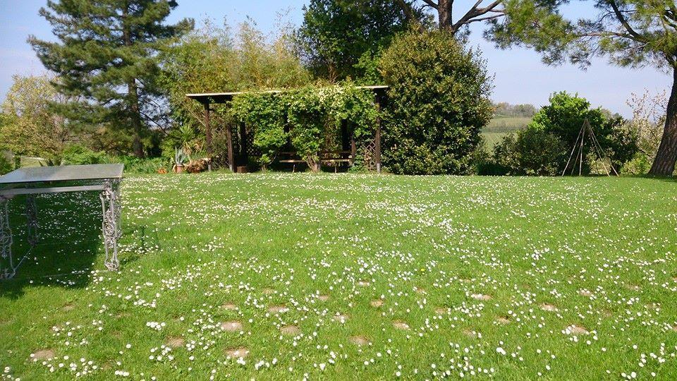 Agriturismo Ca'De'Gatti Faenza Eksteriør bilde
