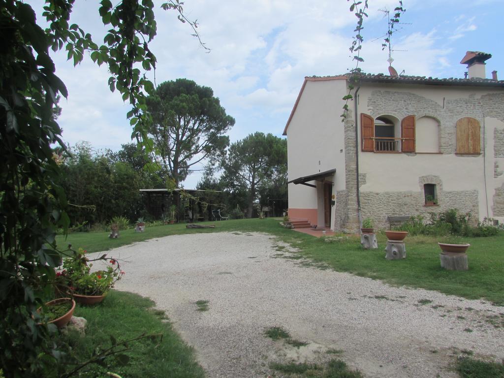 Agriturismo Ca'De'Gatti Faenza Eksteriør bilde