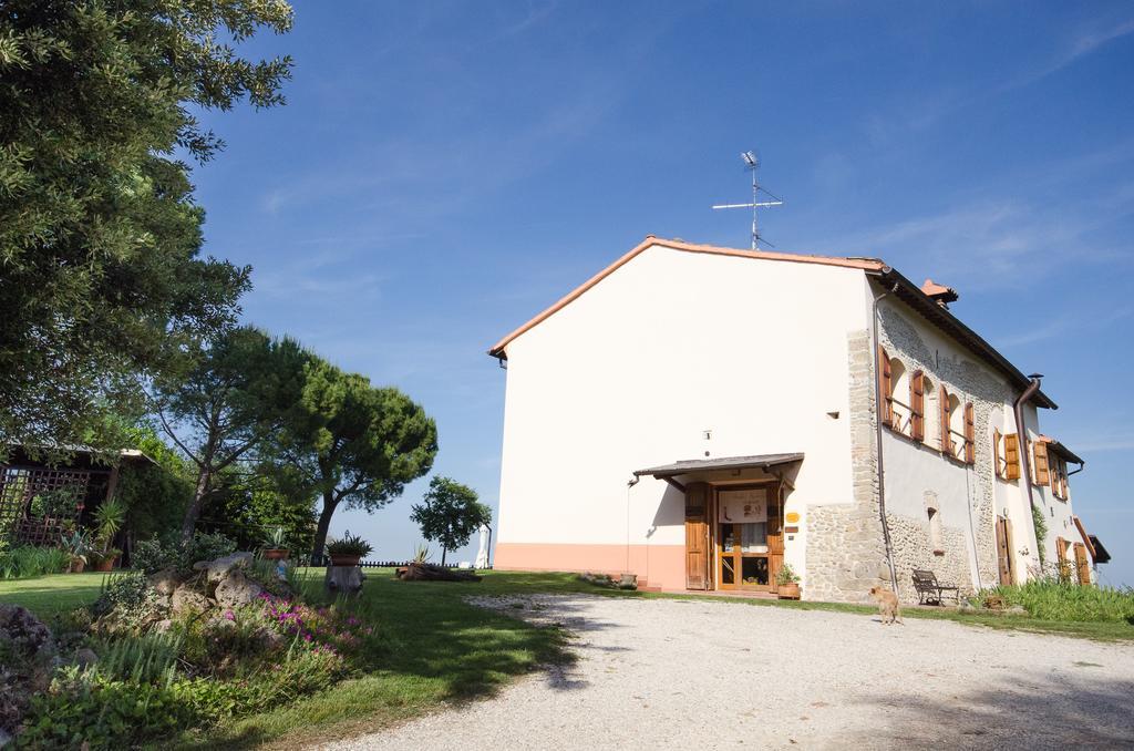 Agriturismo Ca'De'Gatti Faenza Eksteriør bilde
