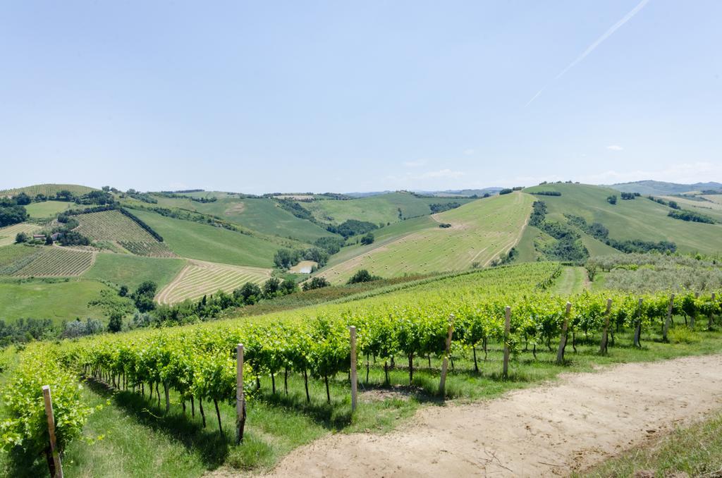 Agriturismo Ca'De'Gatti Faenza Eksteriør bilde