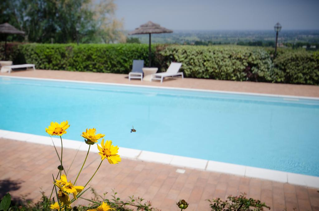 Agriturismo Ca'De'Gatti Faenza Eksteriør bilde