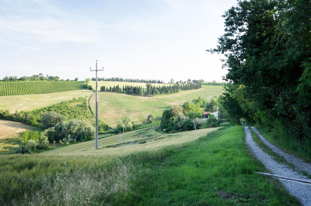 Agriturismo Ca'De'Gatti Faenza Eksteriør bilde