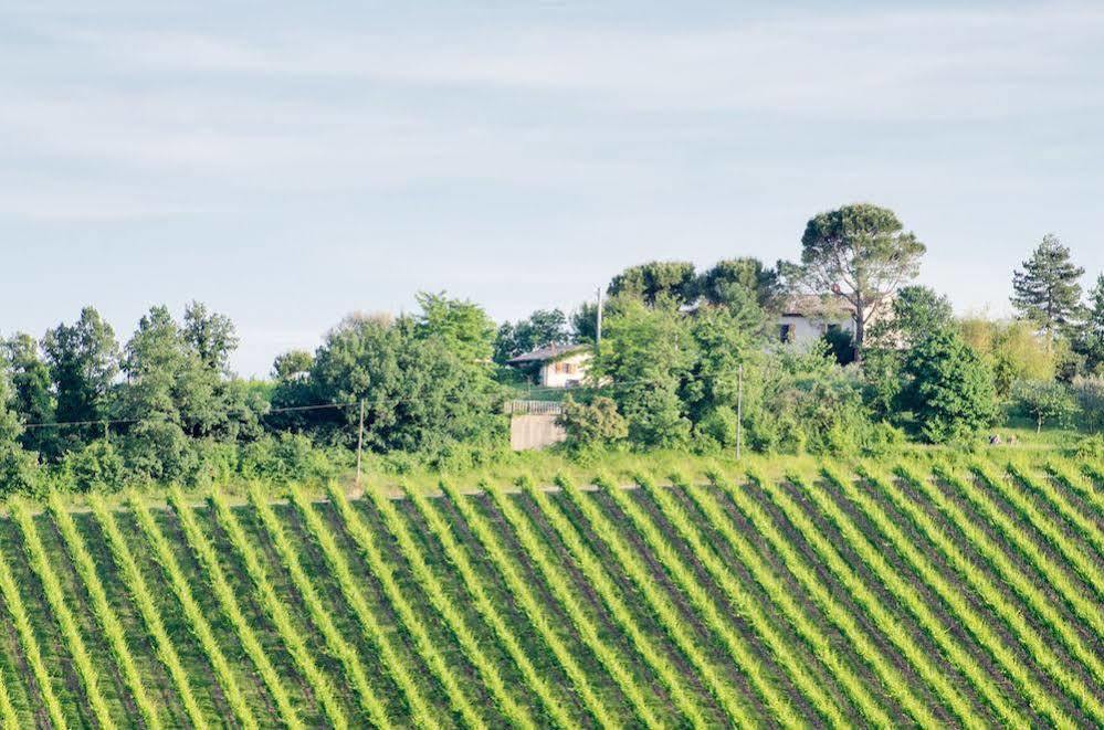 Agriturismo Ca'De'Gatti Faenza Eksteriør bilde